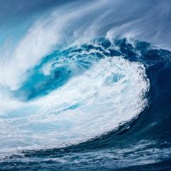 Crashing large ocean wave - Image by Elias Sch. from Pixabay